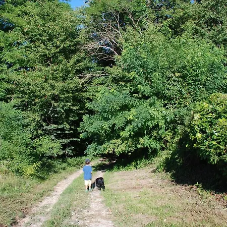 La Casa In Collina * Vicoforte